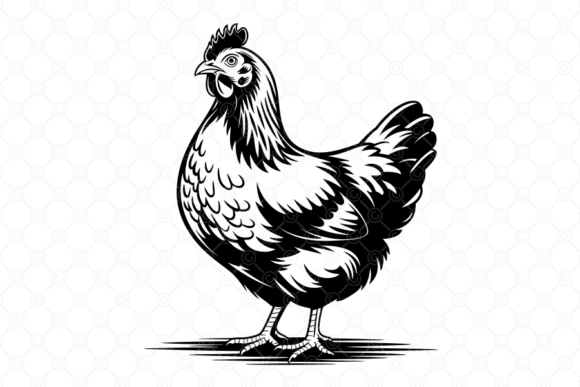 Download Chicken SVG, Hen SVG, Farm Clipart, 017 - Chic Collection